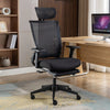 Ergonomic Office Chair Core 3003HBD - Honsit Chair